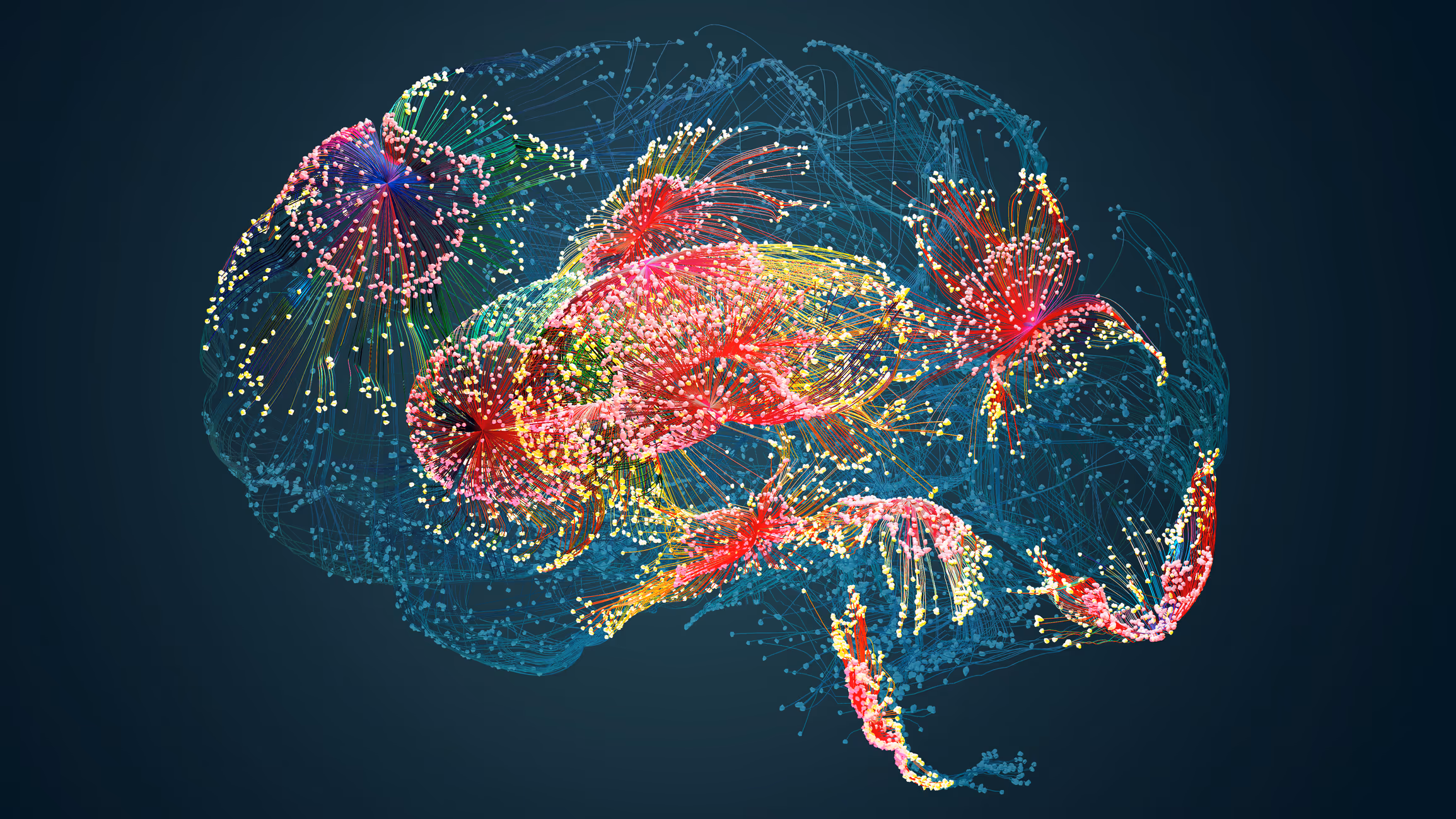 The electrodes measure fluctuations in electrical activity that occur when neurons (brain cells) communicate with each other and display brain functions and processes. Including areas involved in motor function, attention, perception and memory.