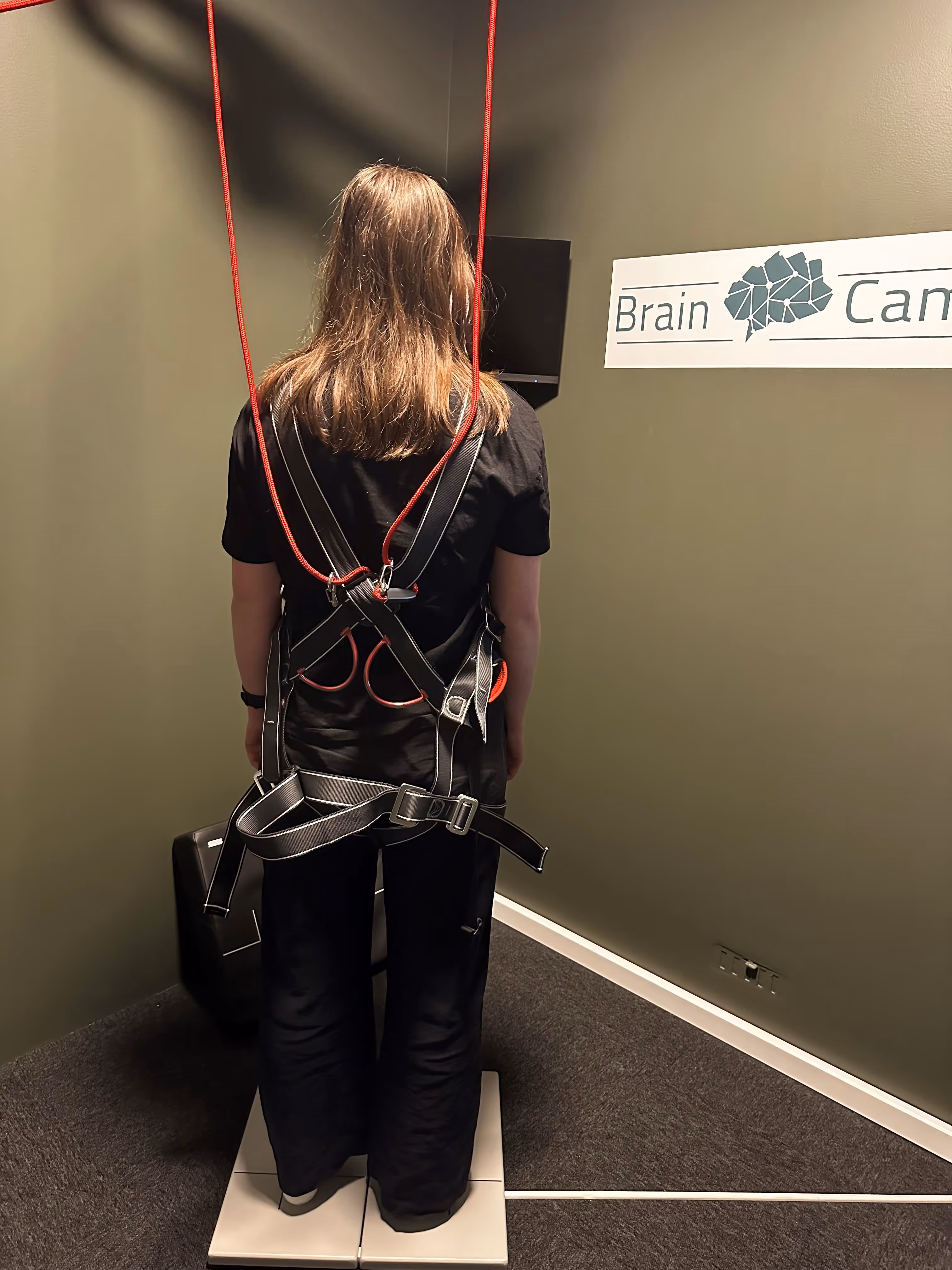 Data-based balance measurement provides us with information about how the brain coordinates and processes various forms of movement information from joints and muscles, the balance organ in the inner ear, and visual orientation.