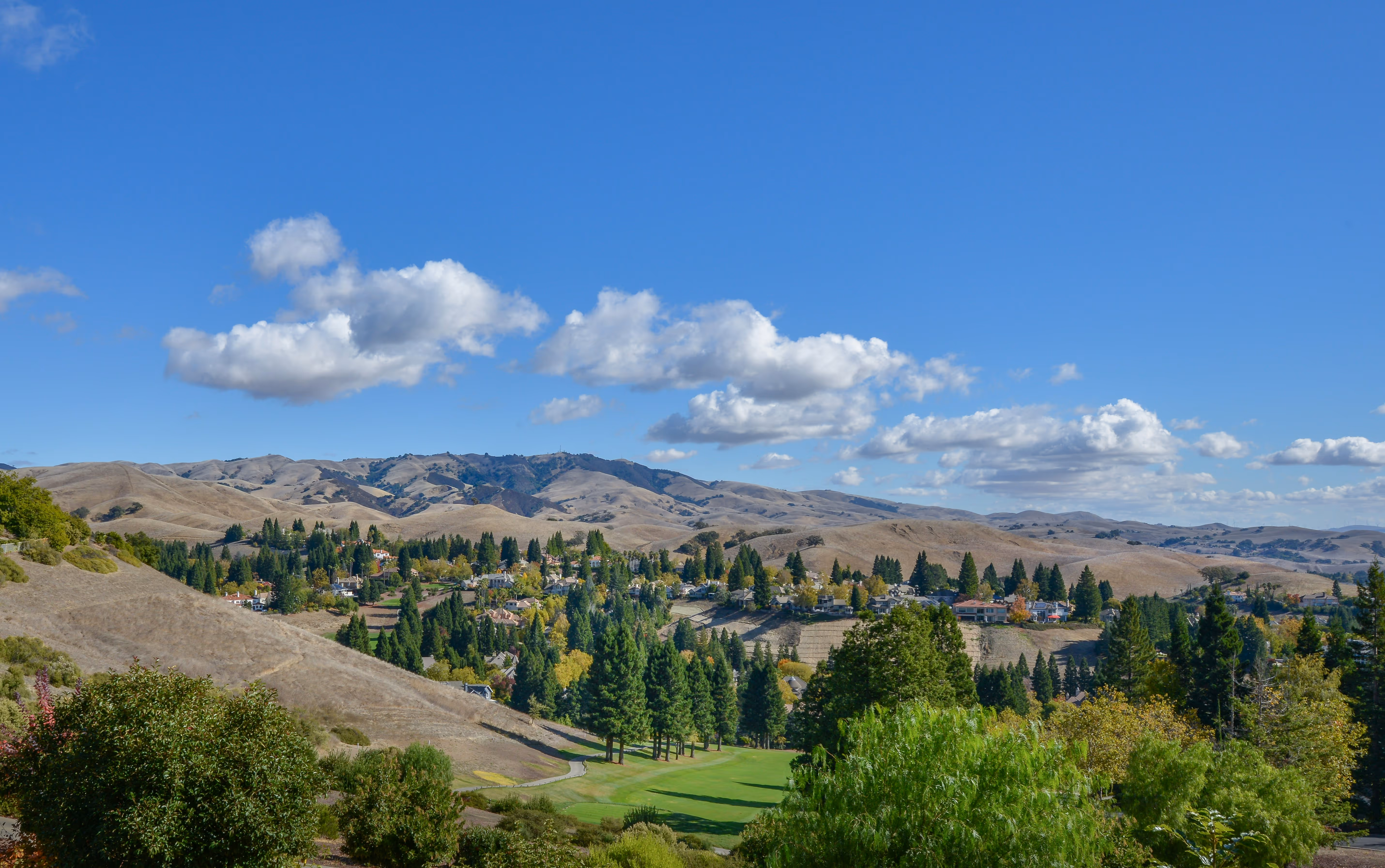 SAN RAMON PAYROLL SERVICES