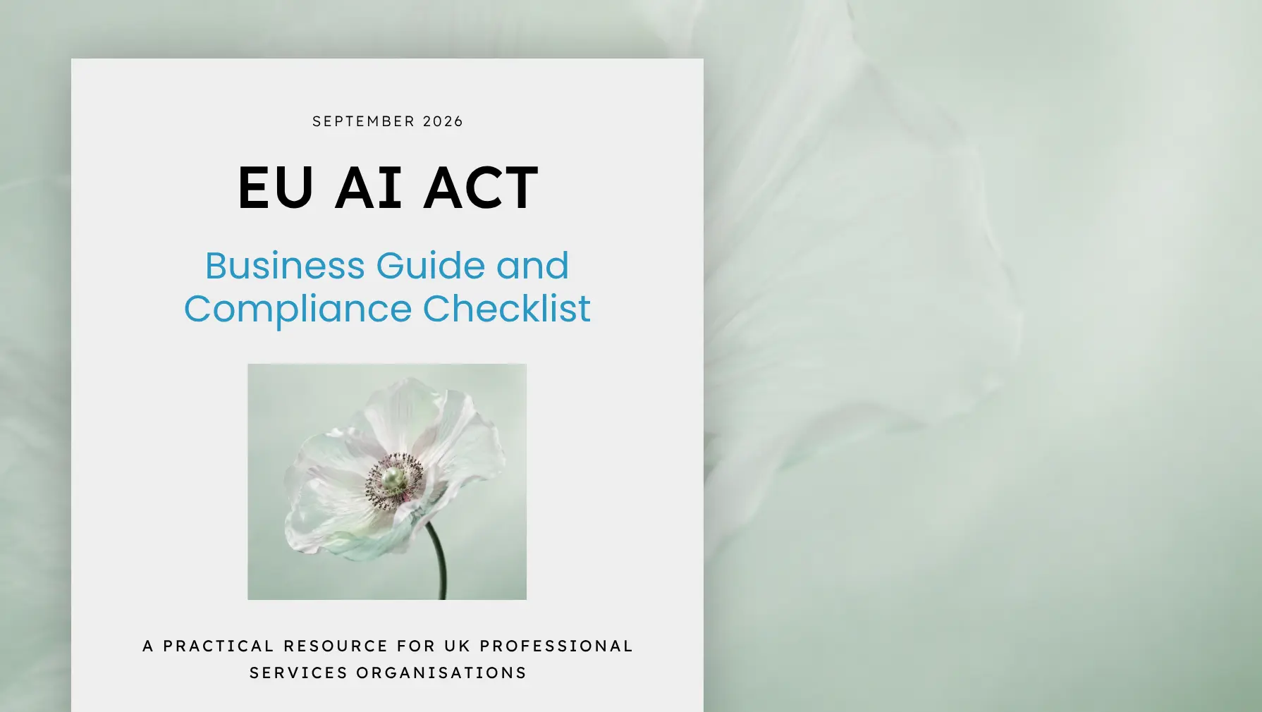 EU AI Act: Business Guide and Readiness Checklist