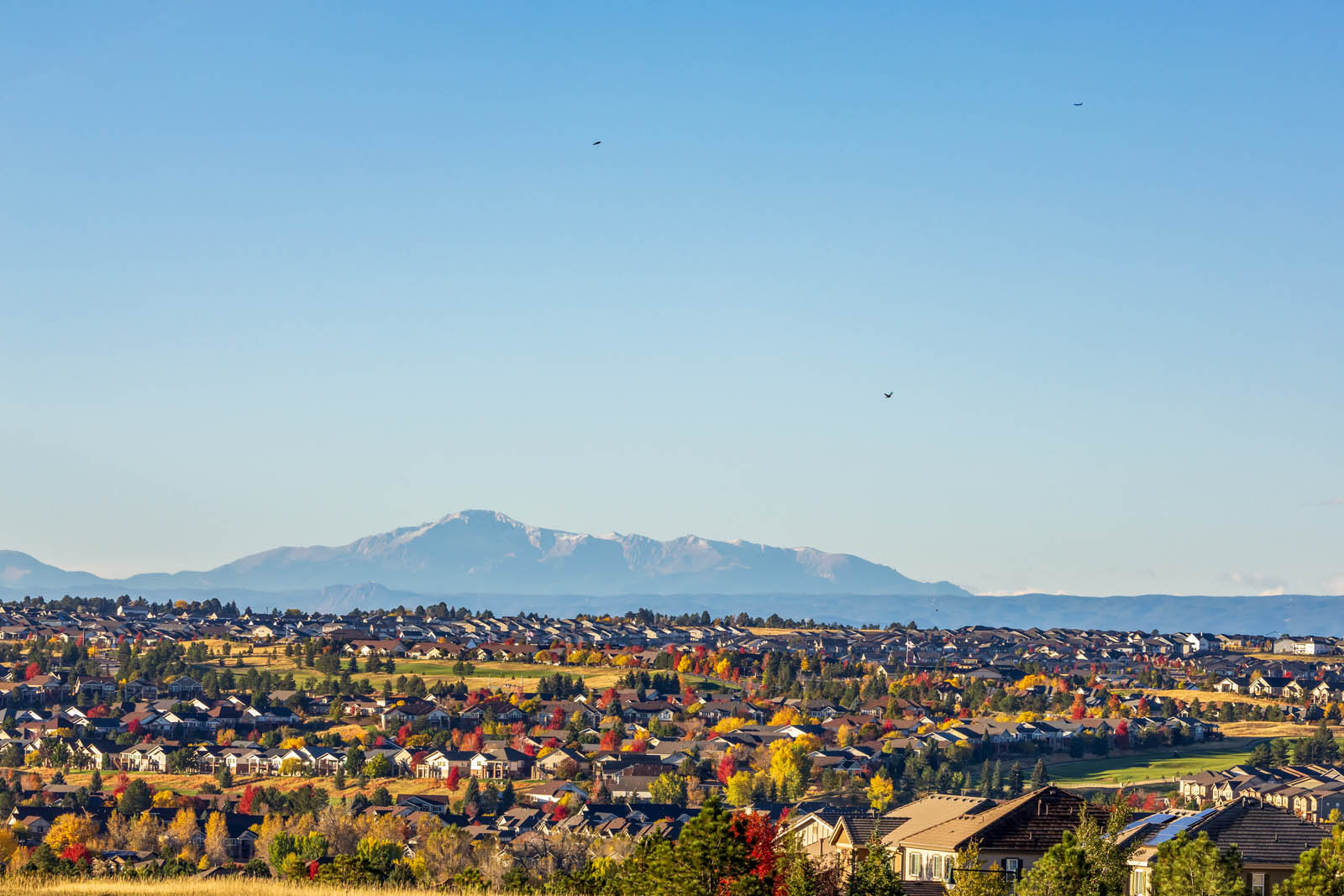 Should You Buy Now or Wait? Understanding the Lakewood Market in 2026