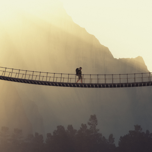 Design, Experience, and the Future of Premium Payments 