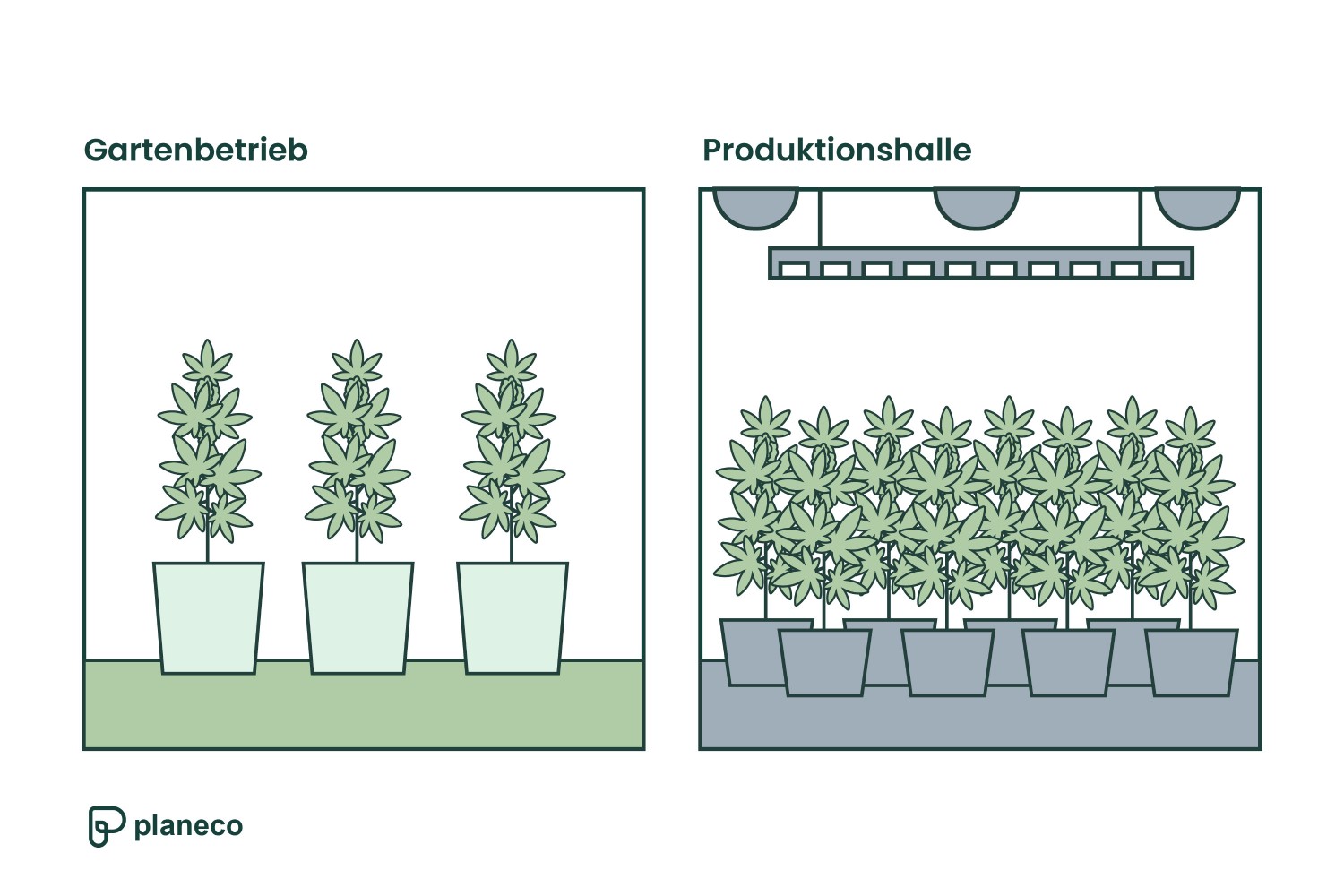Unterschied zwischen Gartenbetrieb und Produktionshalle nach Bauplanungsrecht