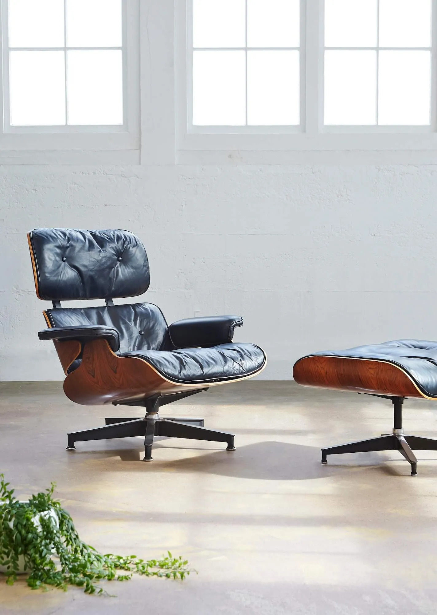 Everything Eames : A Tribute