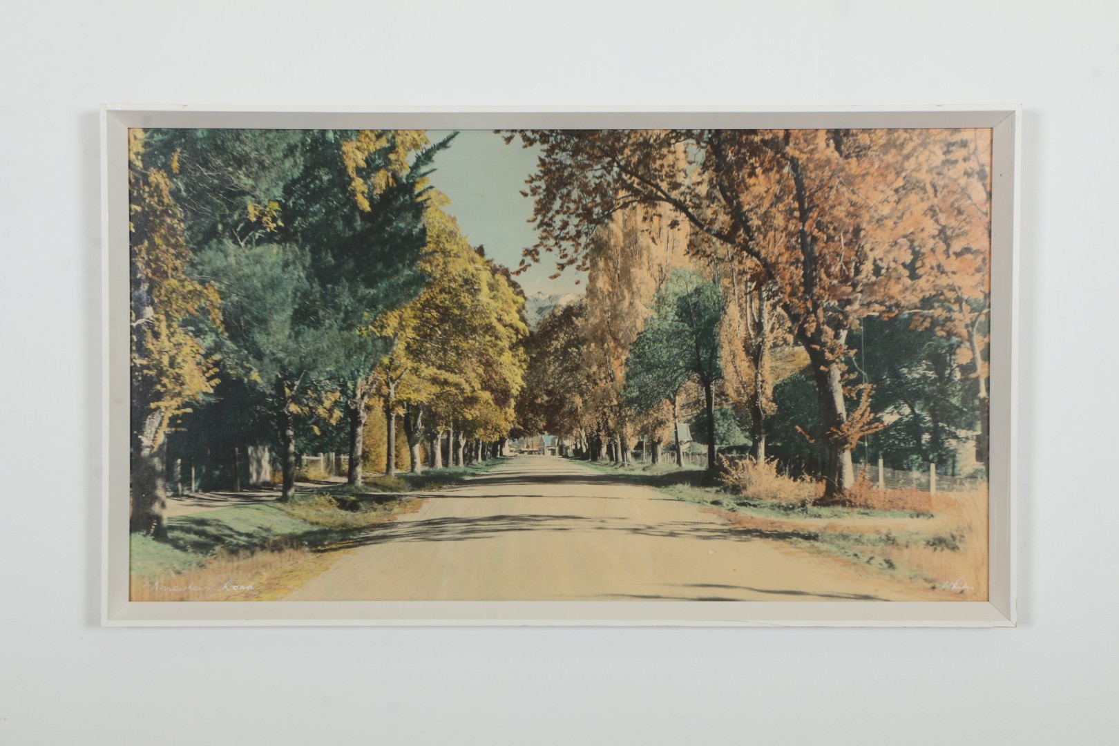 Stunning Hand Tinted Arrowtown Road Photograph by Whites Aviation 