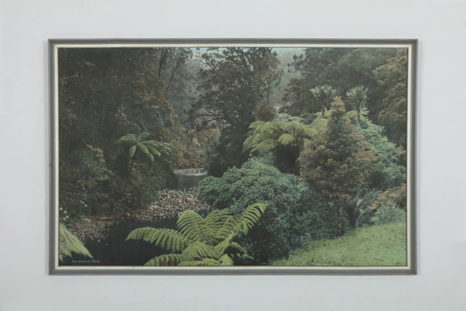 Bold Hand Tinted 'New Zealand Bush' Photograph by Whites Aviation