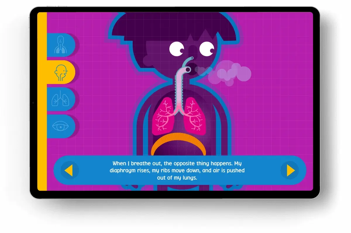 Interactive diagram showing showing the affects of pollution on a child's breathing