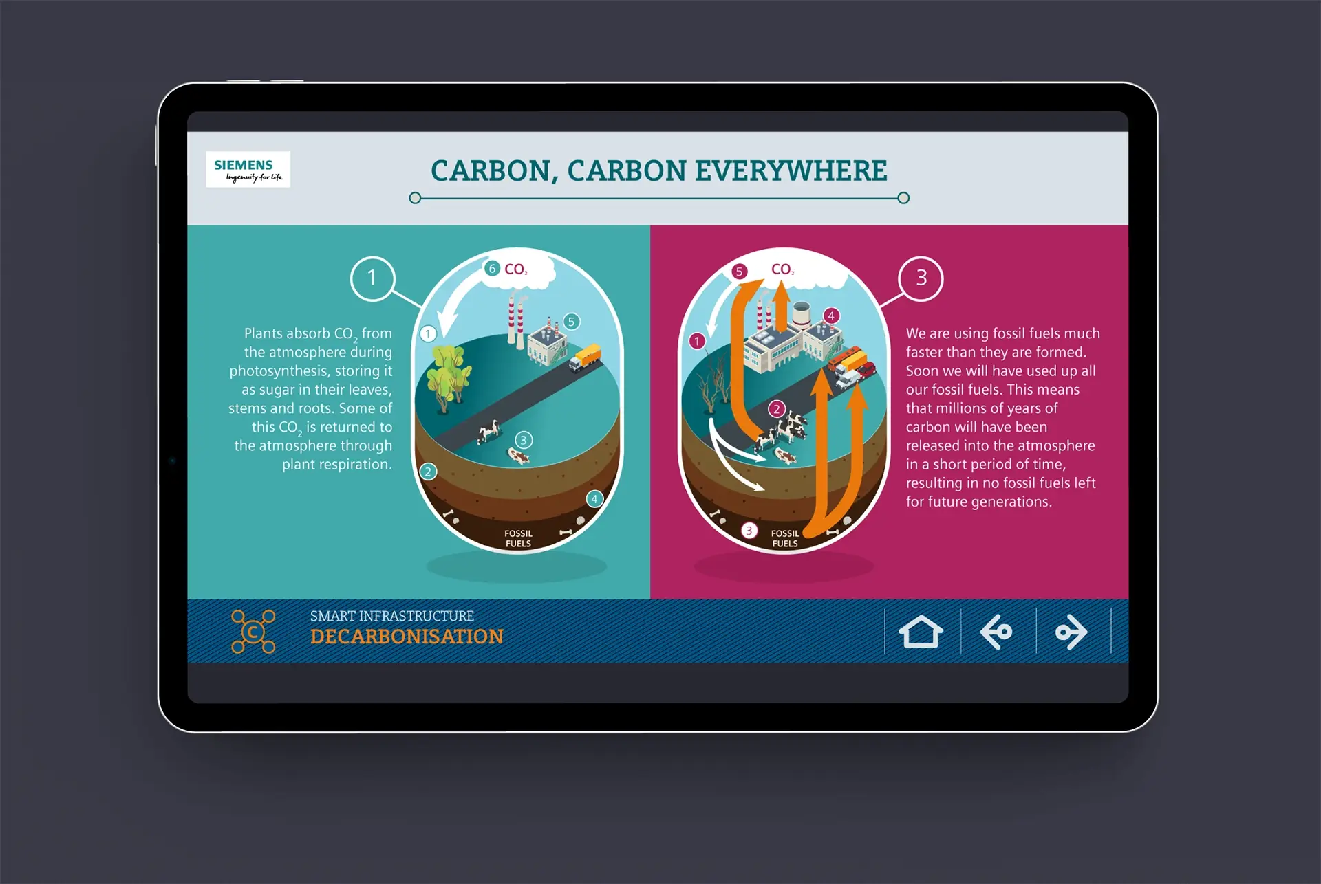 Interactive showing carbon cylce