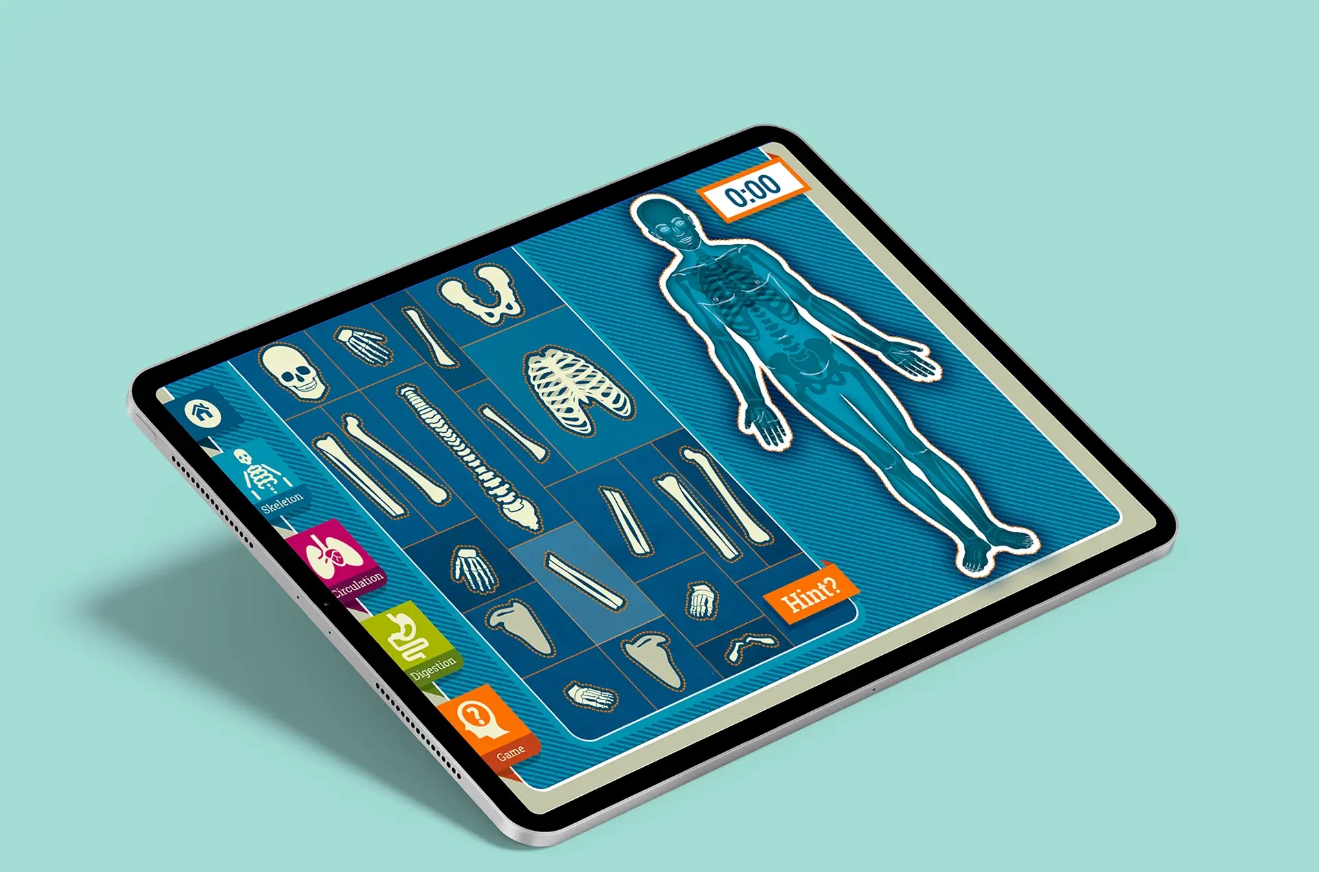 Skeleton anatomy game on an iPad for Siemens Education, designed by Newleaf Creative