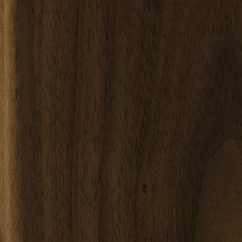 Walnut (finished) wood sample