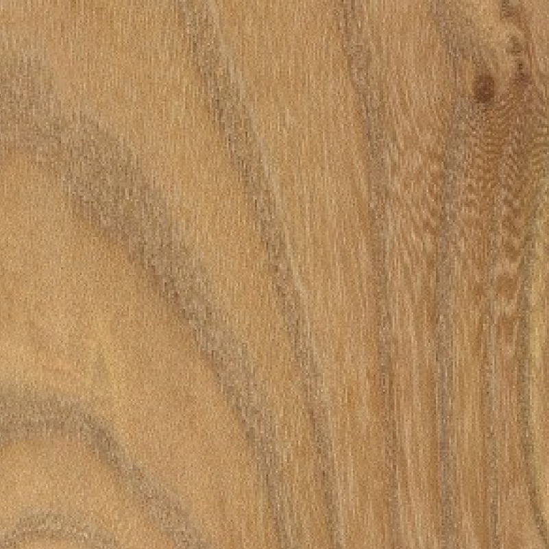 Elm (raw) wood sample