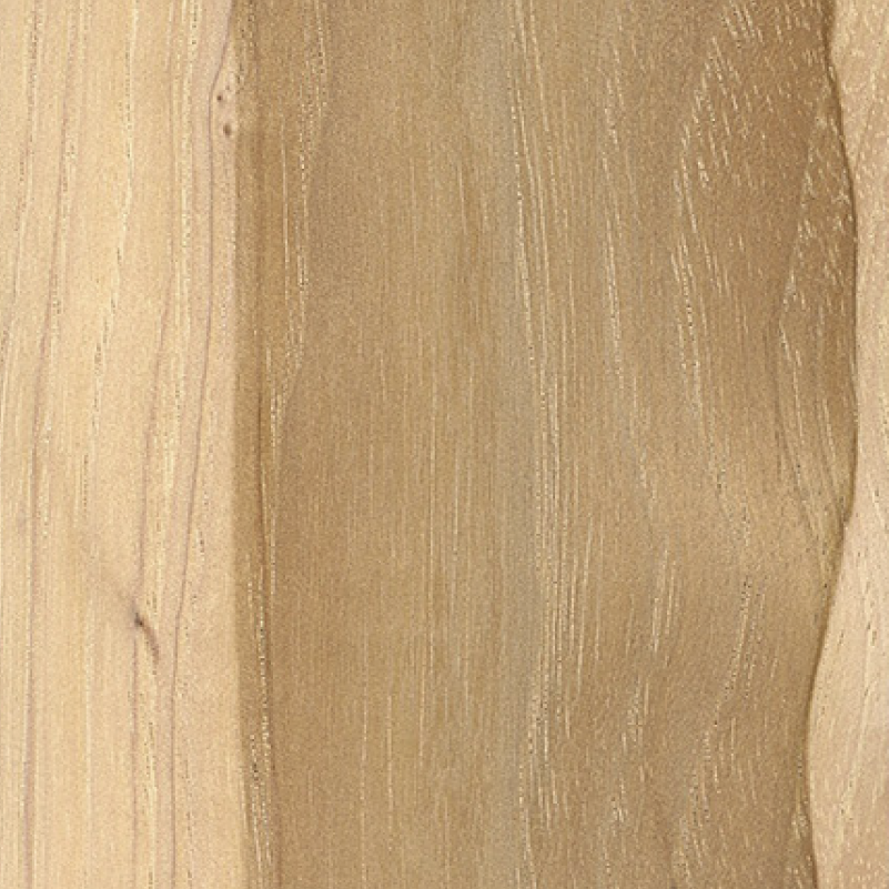 Hickory (raw) wood sample