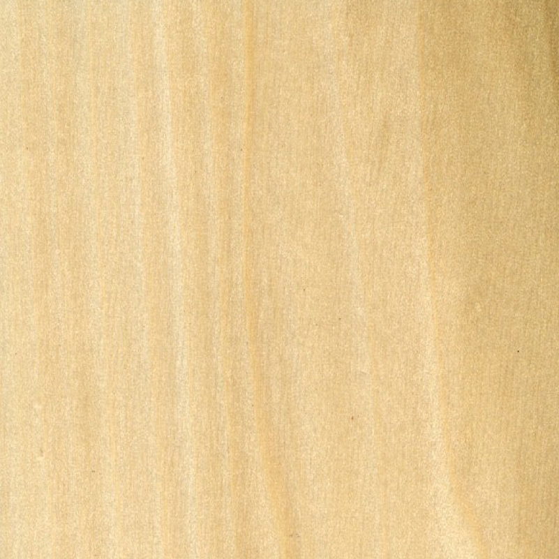 Poplar (finished) wood sample
