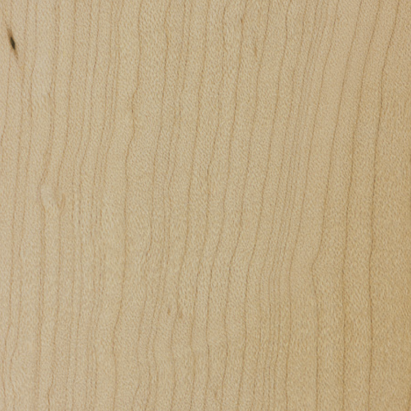 Maple (raw) wood sample