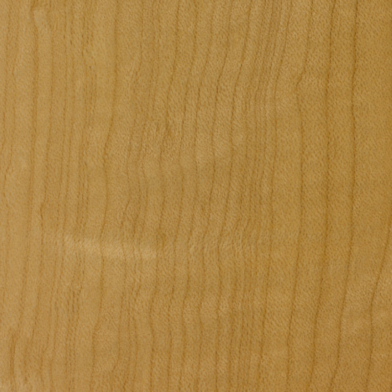 Maple (finished) wood sample