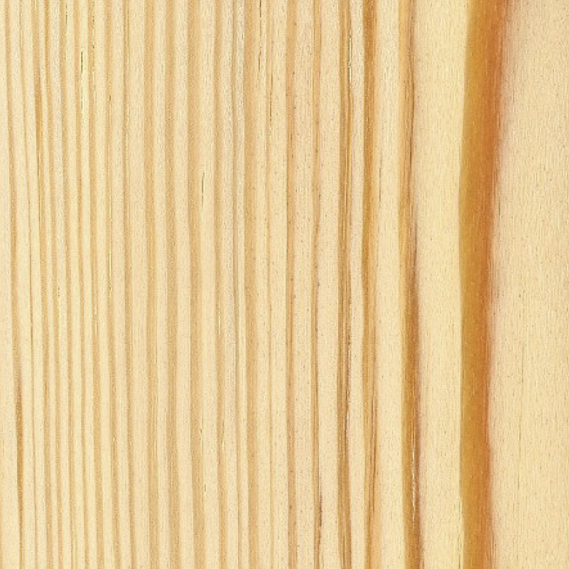 Pine (raw) wood sample