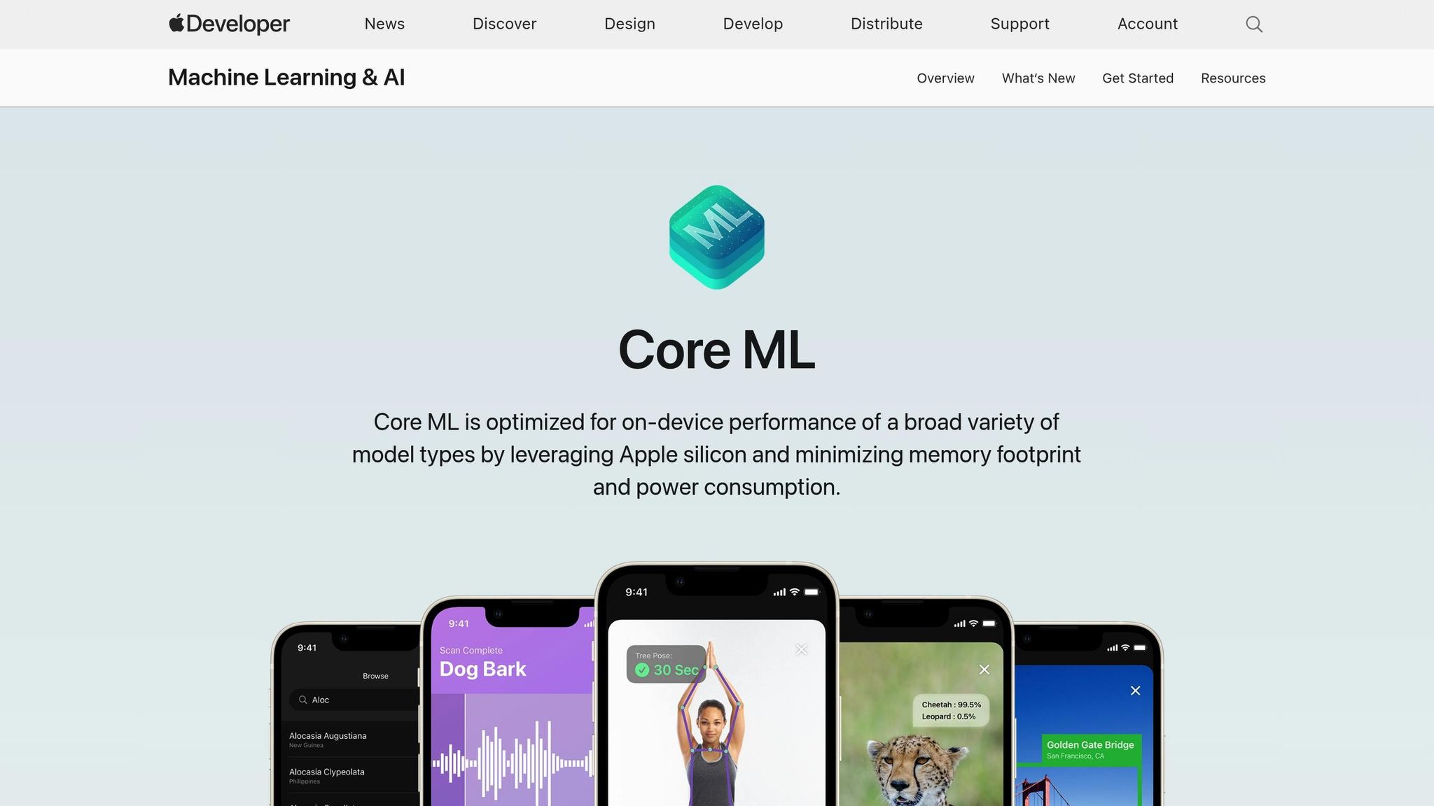 Core ML 5