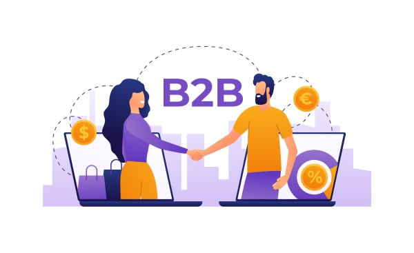 B2B Marketplace Development