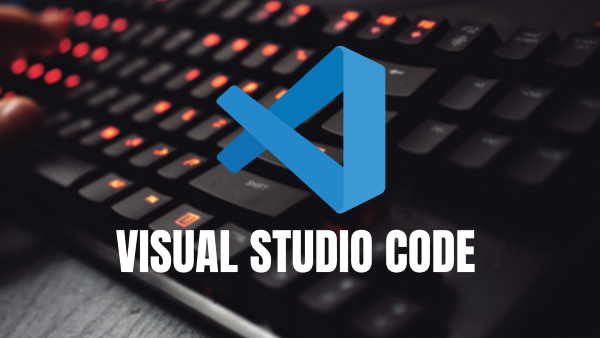 What Makes VSCode a Popular IDE