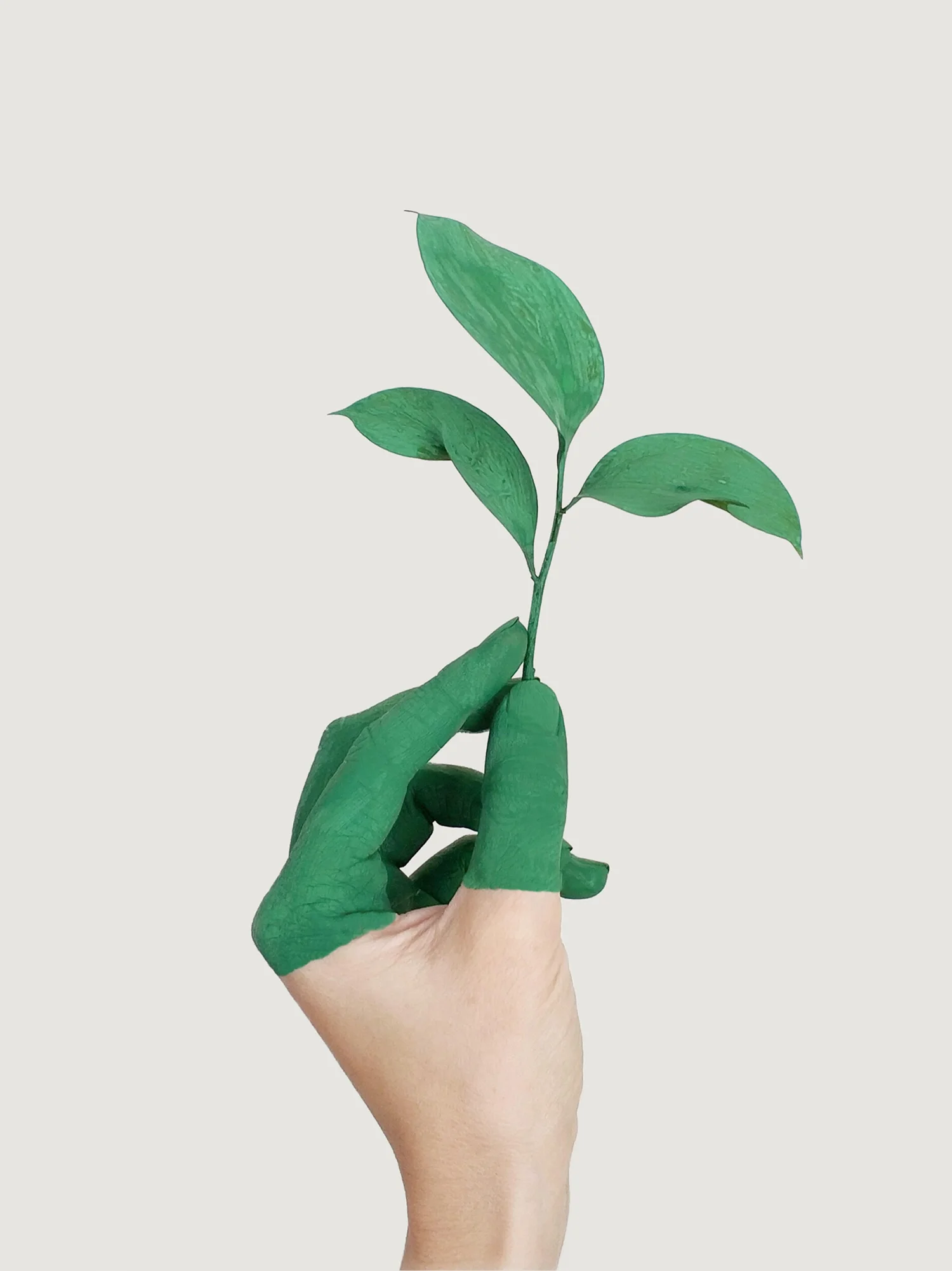A hand with fingers painted in green is holding a little branch with leaves.