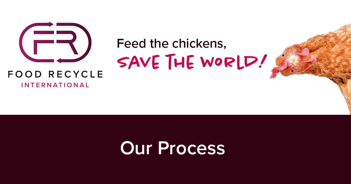 Our Process