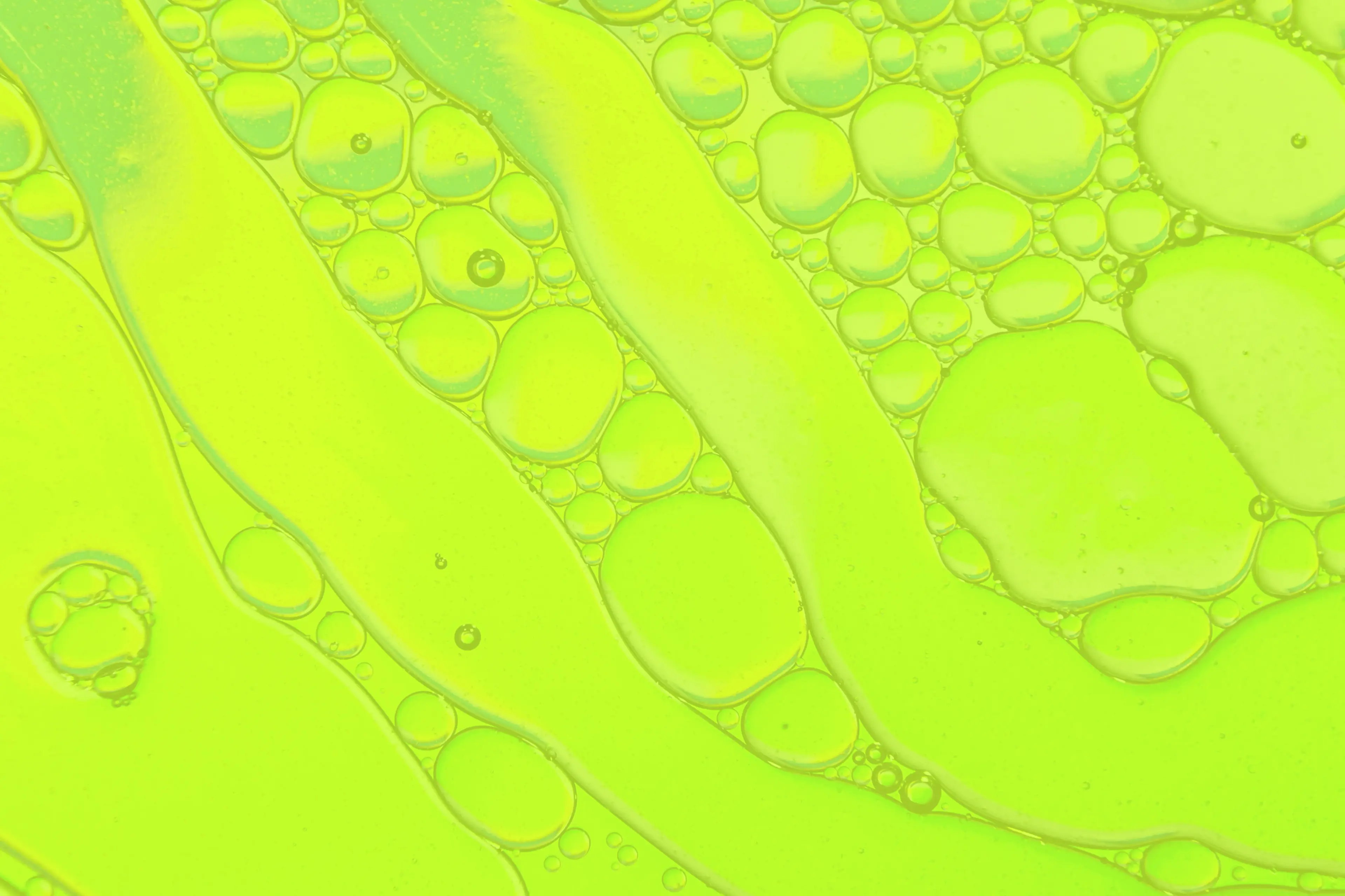 Close-up of translucent yellow-green oil droplets suspended in liquid forming irregular and round shapes.