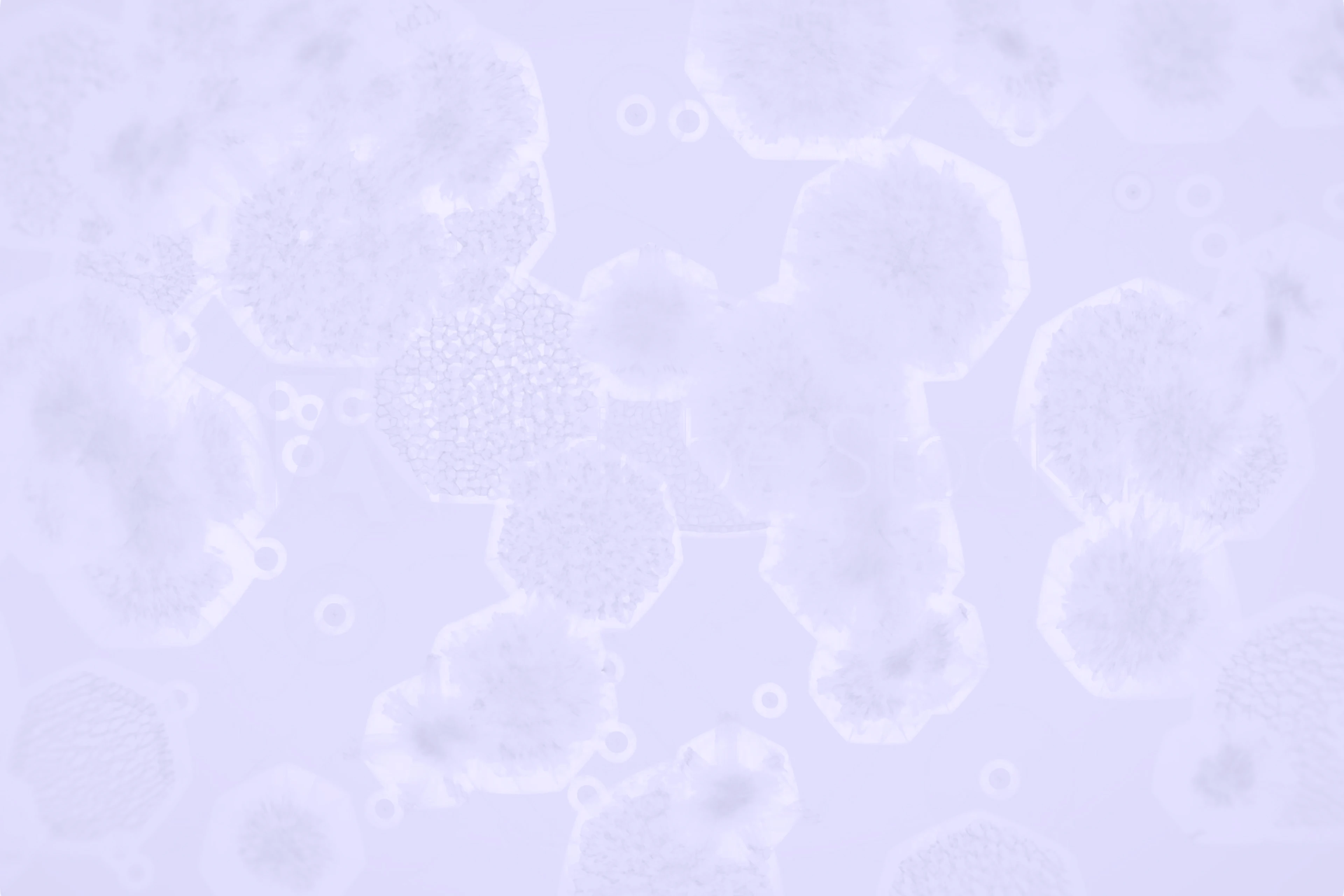 Abstract light purple background with faint irregular hexagonal shapes and subtle circular patterns.