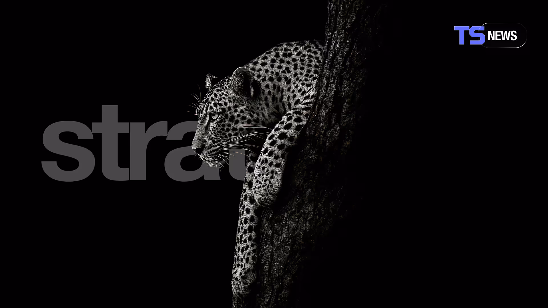 交流会の効果的な活用方法から成功のポイントまで、Web3とAI業界のリーダーたちが実践するネットワーキング戦略を解説します。ビジネスマッチングの最新事例も紹介。