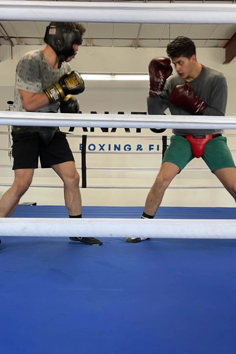 Sparring