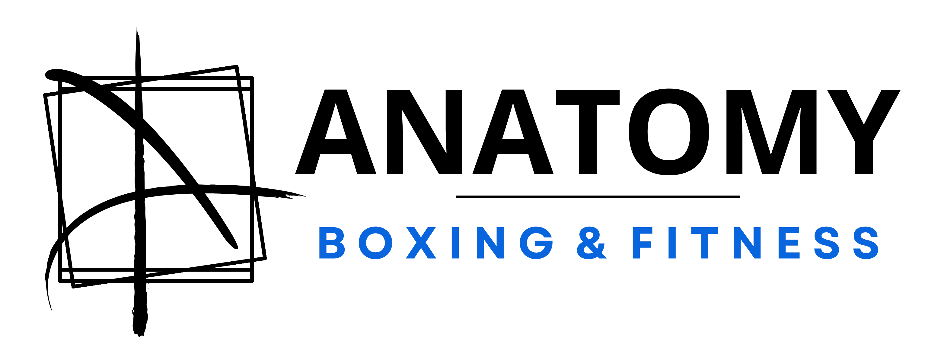 Anatomy Boxing & Fitness