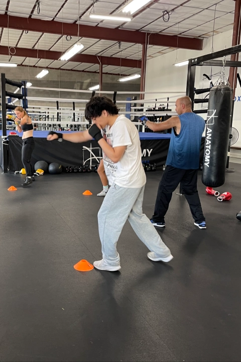 Anatomy Boxing & Fitness