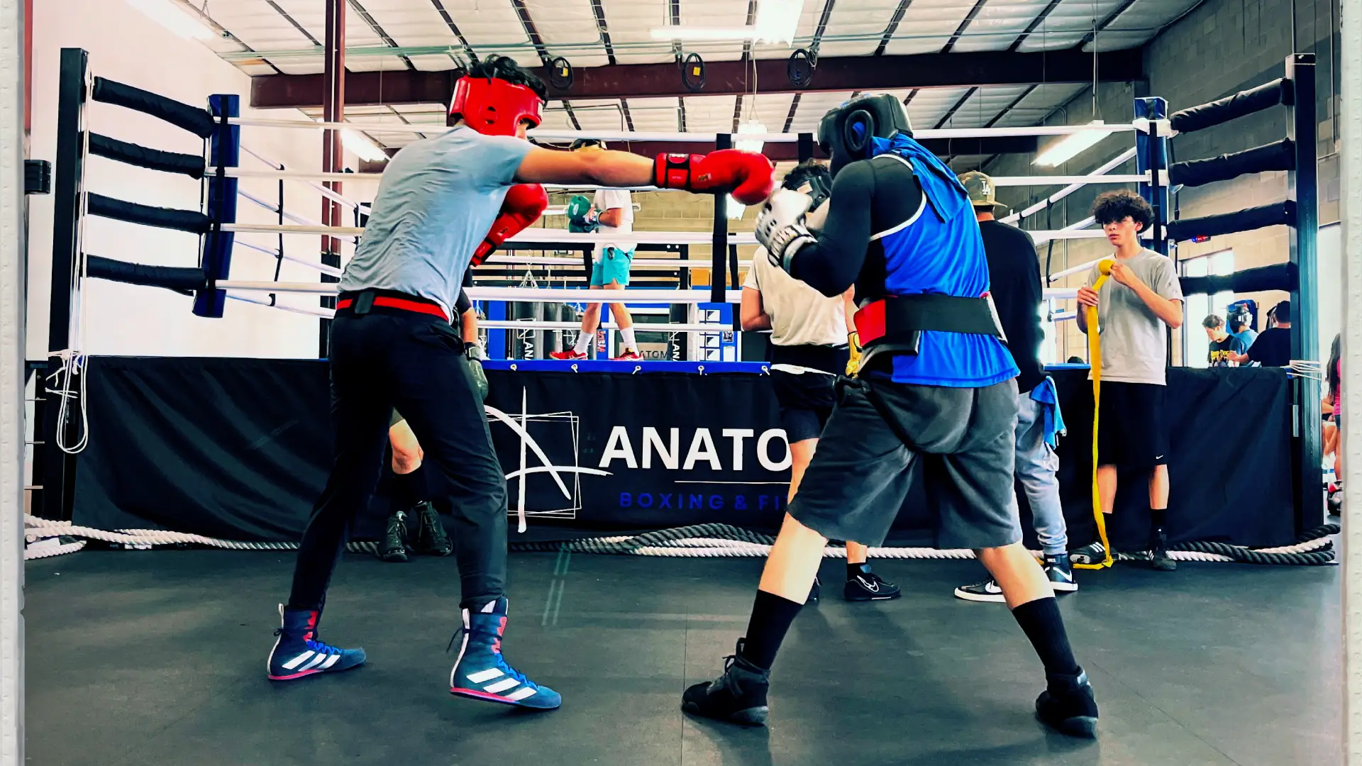 Anatomy Boxing & Fitness