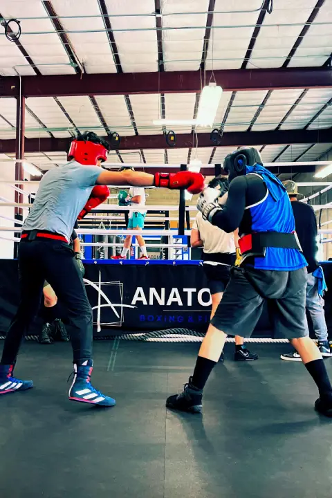 Anatomy Boxing & Fitness