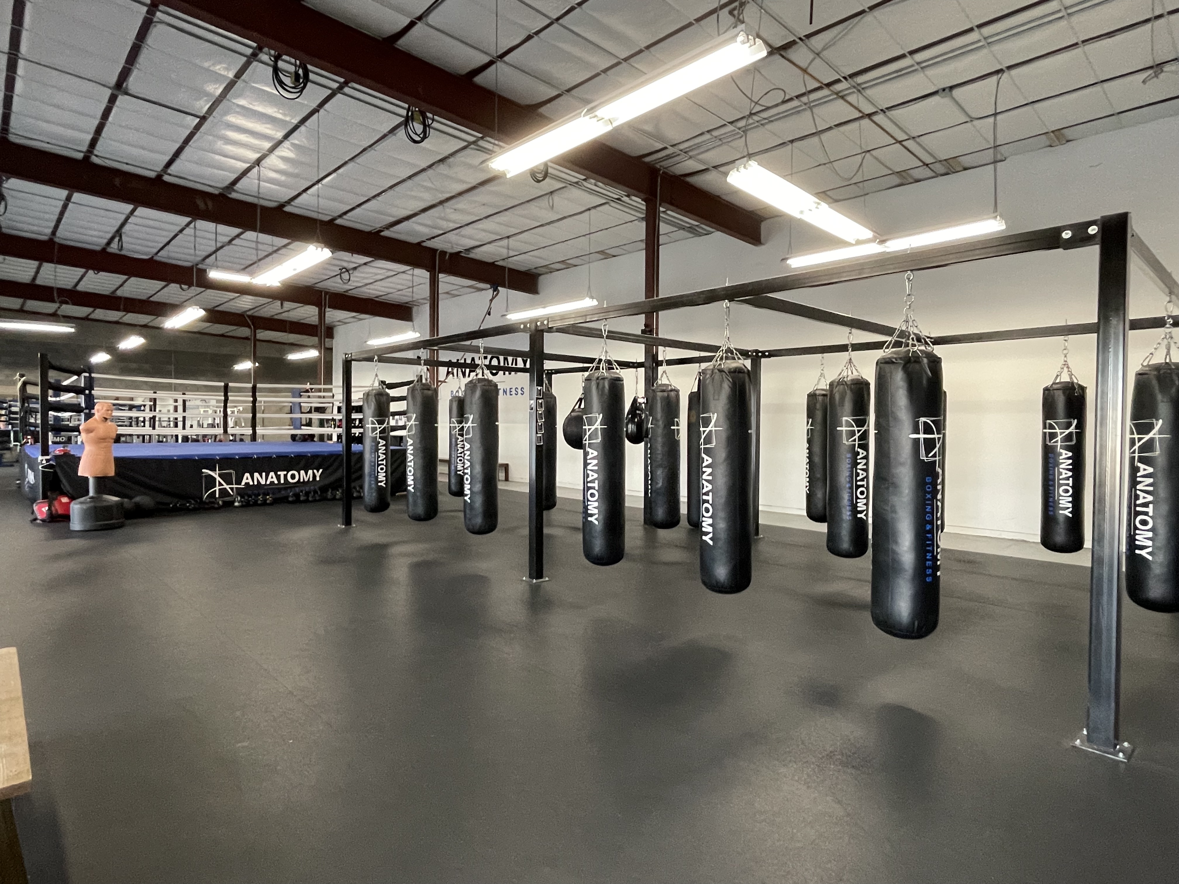 Anatomy Boxing & Fitness