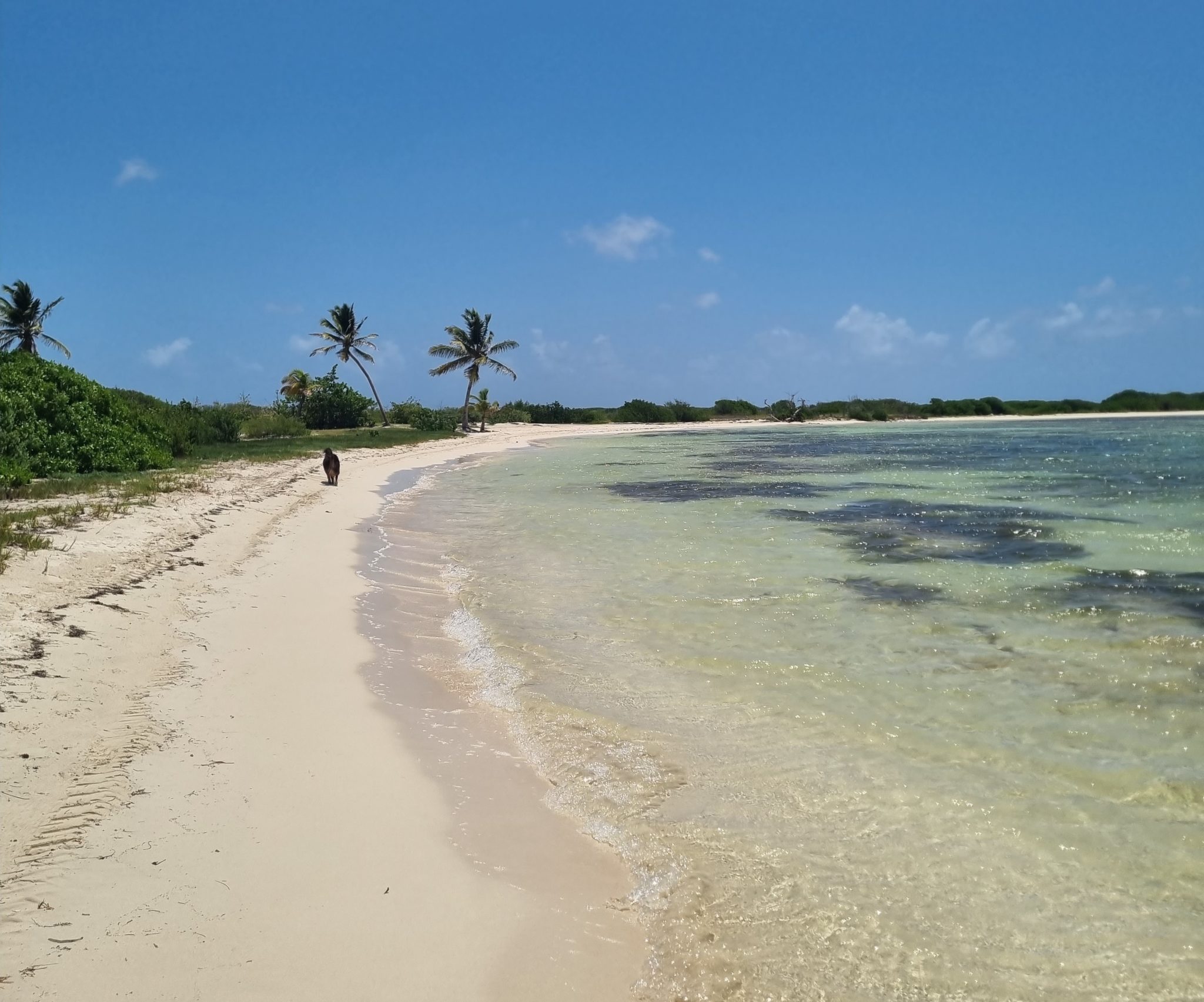 Sporty Challenge : une première édition et quatre parcours sur la plage du Galion le 27 septembre