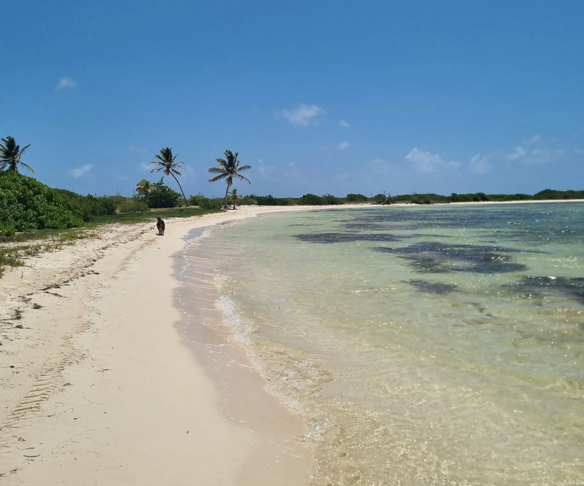 Sporty Challenge : une première édition et quatre parcours sur la plage du Galion le 27 septembre