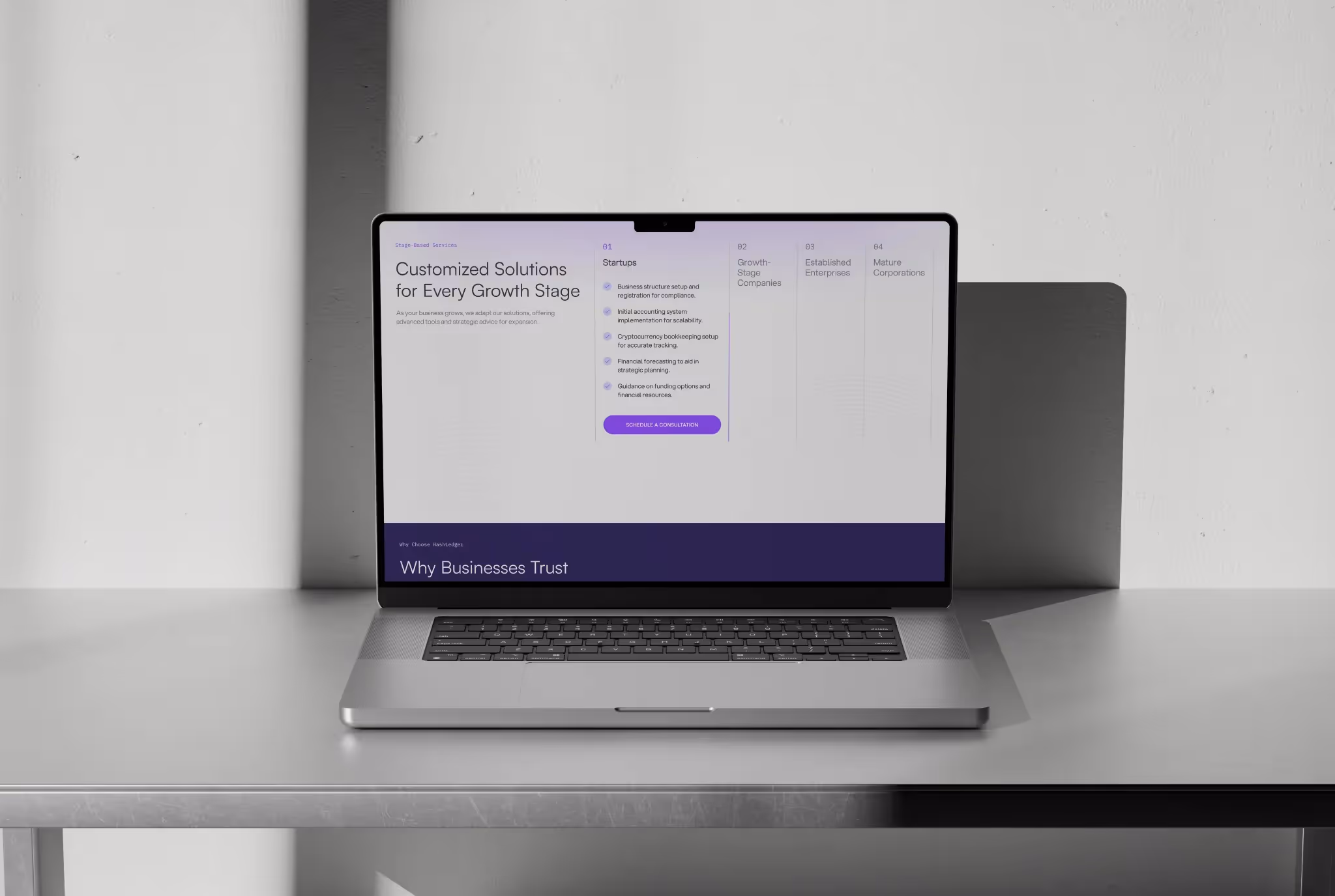 Stages of Businesses that HashLedger works with