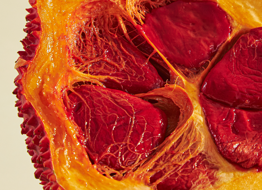 Qizlar erkaklar ogziga siyadilar (ruscha)