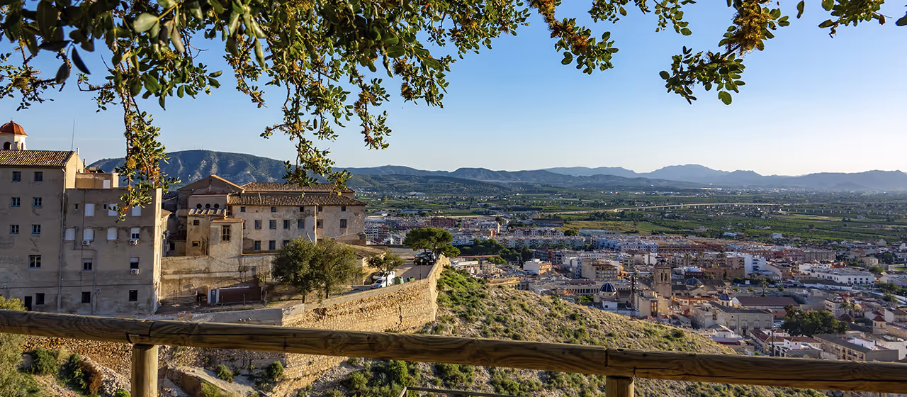 Las 3 mejores notarías en Orihuela