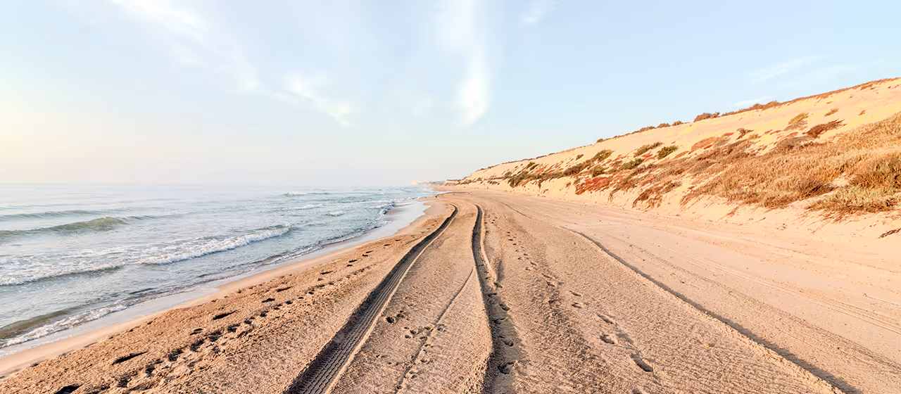 Las 2 mejores notarías en Guardamar del Segura