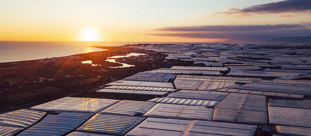 Las 2 mejores notarías en El Ejido