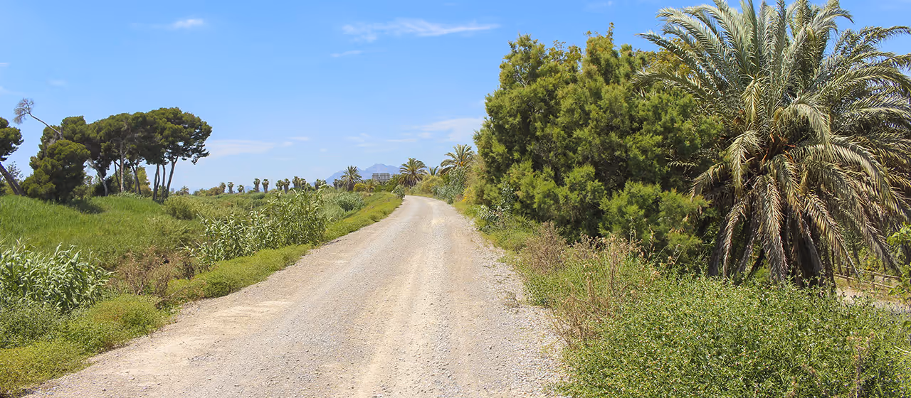 Las 2 mejores notarías en Almoradí