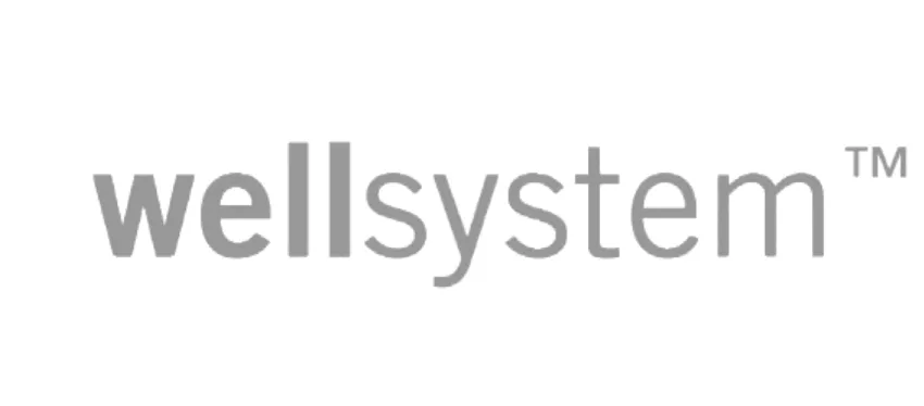 Wave system