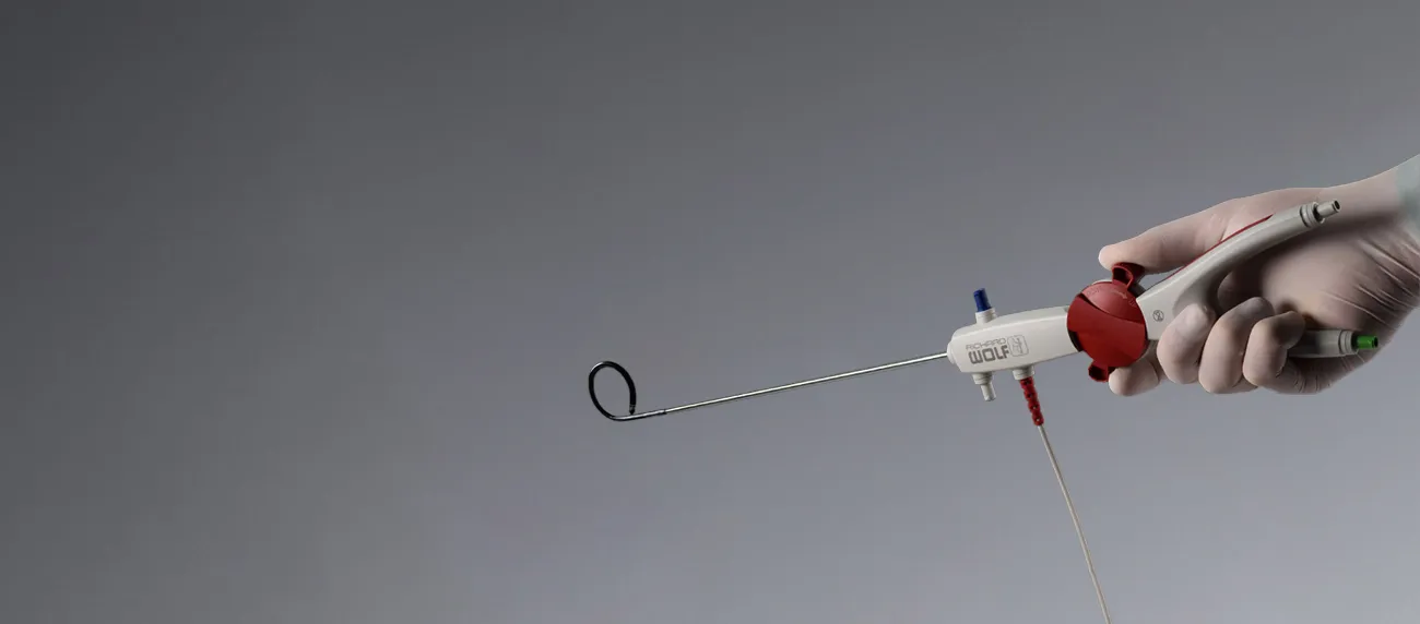 Re-thinking Ureteroscopy - the best of both worlds
