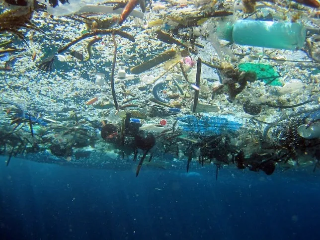 WILDDESIGN Ocean Plastic Tides – Caused or Solved by Design?