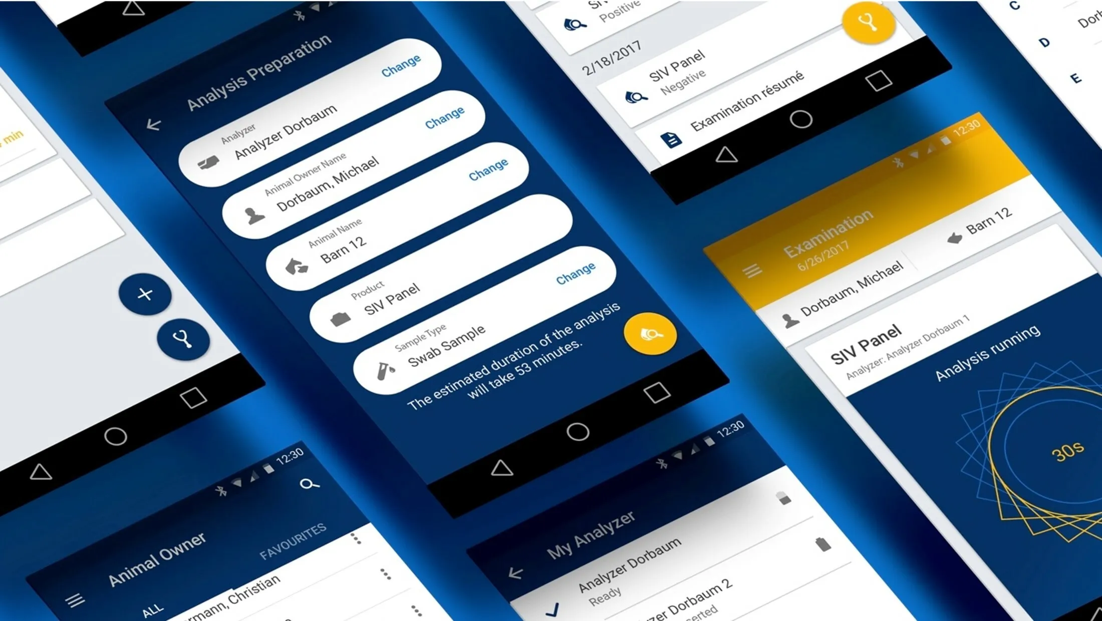 Interface Design