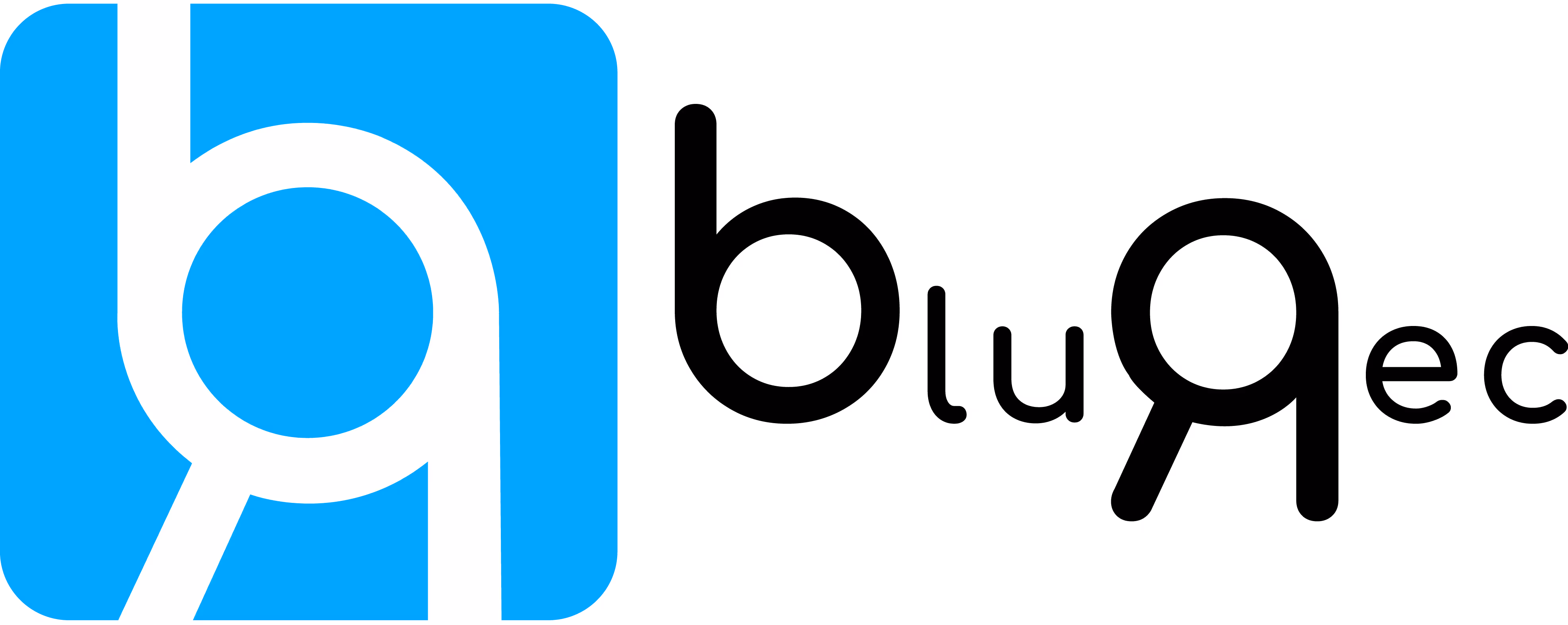 Logo de Blurec, cabinet de recrutement spécialisé dans les profils Tech et Salesforce, partenaire de l'agence SHUNPO.