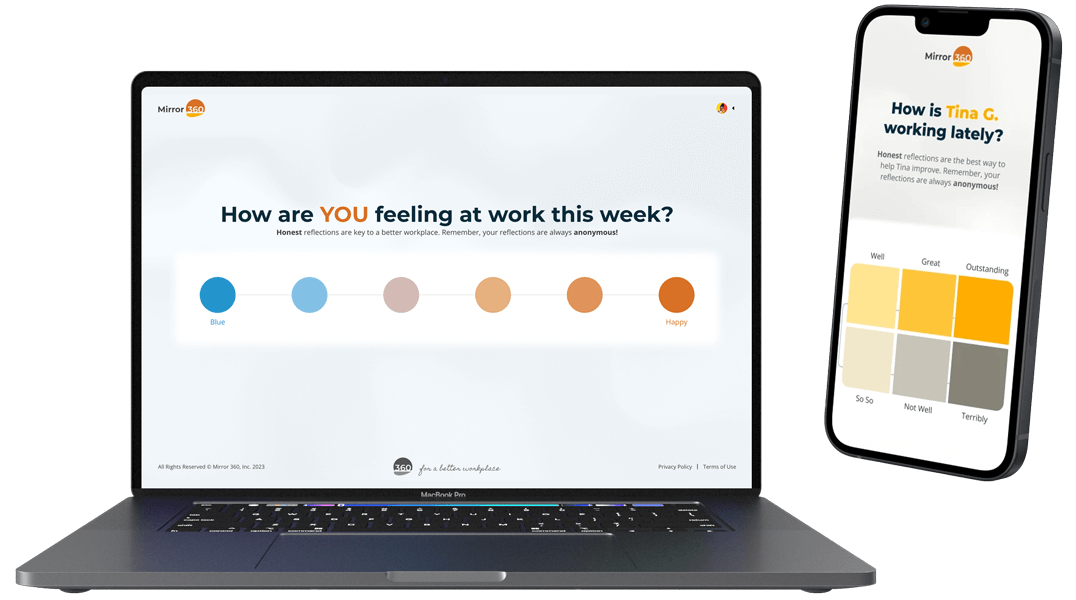 Mirror 360 Performance and Fulfillment Dashboards