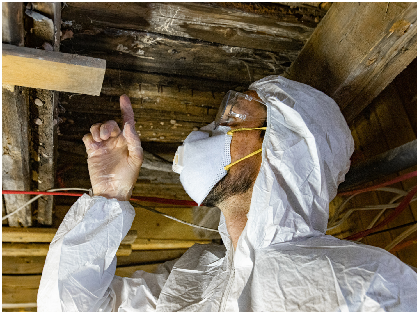 Worker in protective suit inspecting wooden attic or crawl space