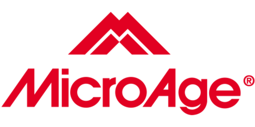 Micro Age